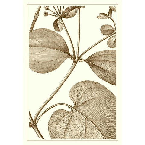 Cropped Sepia Botanical V Gold Ornate Wood Framed Art Print with Double Matting by Vision Studio