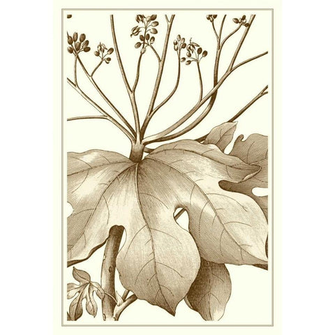 Cropped Sepia Botanical VI Gold Ornate Wood Framed Art Print with Double Matting by Vision Studio