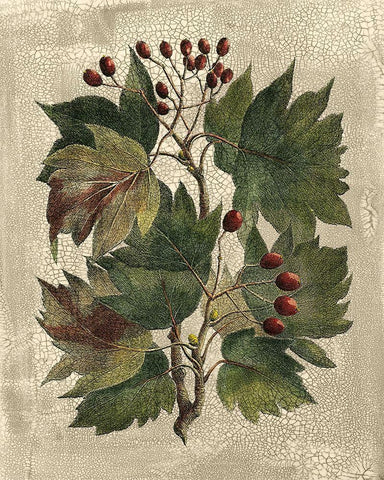 Deshayes Tree I Black Ornate Wood Framed Art Print with Double Matting by Deshayes, Gerard Paul