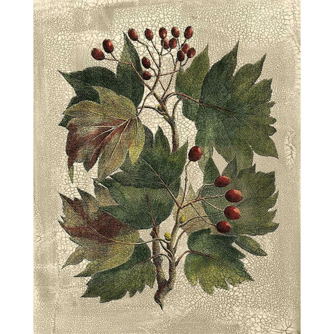 Deshayes Tree I Black Modern Wood Framed Art Print by Deshayes, Gerard Paul