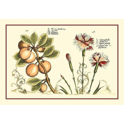 Garden Botanica II White Modern Wood Framed Art Print by Vision Studio