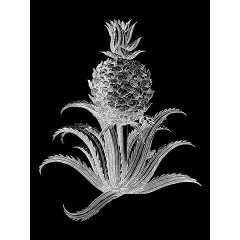 Pineapple Noir II White Modern Wood Framed Art Print by Vision Studio