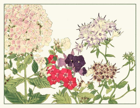 Japanese Flower Garden II White Modern Wood Framed Art Print with Double Matting by Konan, Tanigami