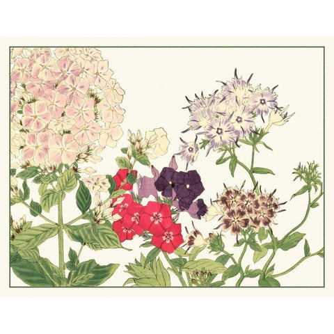 Japanese Flower Garden II White Modern Wood Framed Art Print by Konan, Tanigami