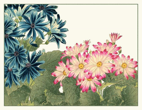 Japanese Flower Garden IV Black Ornate Wood Framed Art Print with Double Matting by Konan, Tanigami