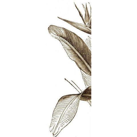 Bird of Paradise Triptych I White Modern Wood Framed Art Print by Vision Studio