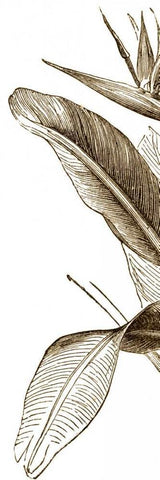 Bird of Paradise Triptych I Black Ornate Wood Framed Art Print with Double Matting by Vision Studio