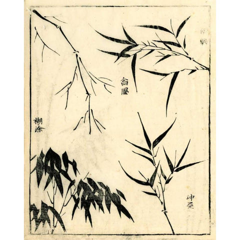 Bamboo Woodblock I Black Modern Wood Framed Art Print with Double Matting by Vision Studio