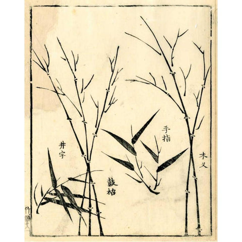 Bamboo Woodblock II Black Modern Wood Framed Art Print by Vision Studio