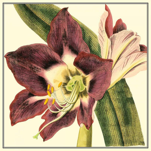 Poetic Blossoms III Black Ornate Wood Framed Art Print with Double Matting by Vision Studio