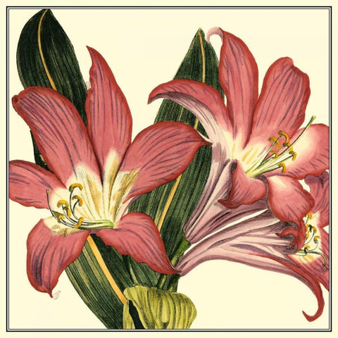 Poetic Blossoms IV Gold Ornate Wood Framed Art Print with Double Matting by Vision Studio