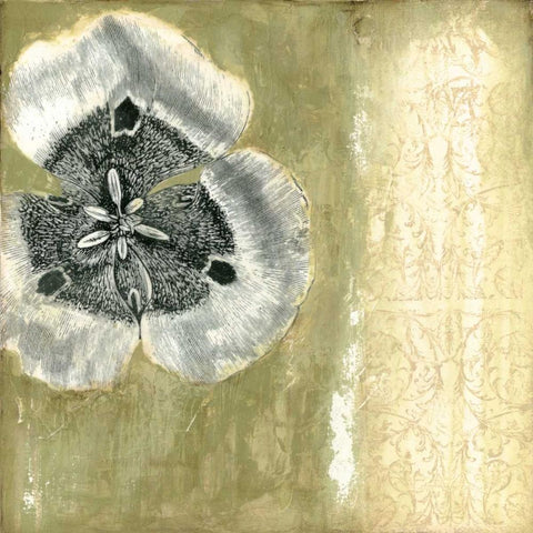 Celadon in Bloom II Black Modern Wood Framed Art Print with Double Matting by Goldberger, Jennifer