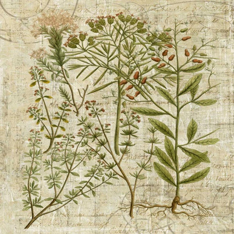 Garden Verses I Black Modern Wood Framed Art Print by Vision Studio