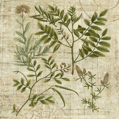 Garden Verses II White Modern Wood Framed Art Print with Double Matting by Vision Studio