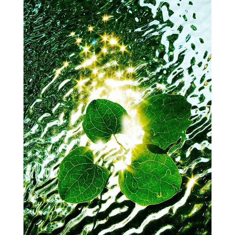 Floating Light Black Modern Wood Framed Art Print by Morris, Leonard
