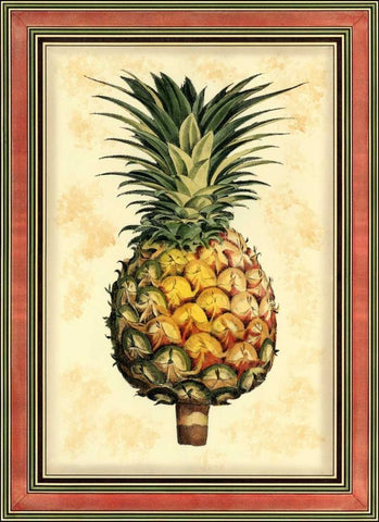 Pineapple Splendor I White Modern Wood Framed Art Print with Double Matting by Vision Studio