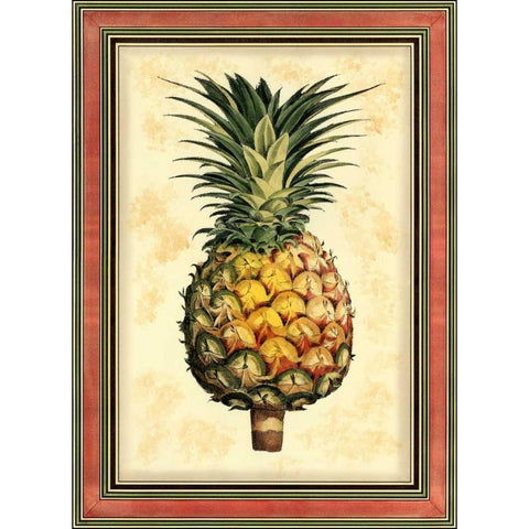 Pineapple Splendor I Black Modern Wood Framed Art Print with Double Matting by Vision Studio