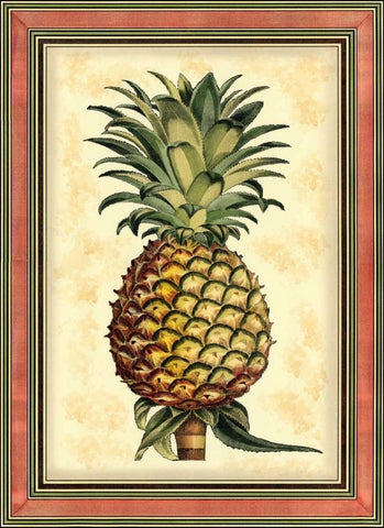 Pineapple Splendor II White Modern Wood Framed Art Print with Double Matting by Vision Studio