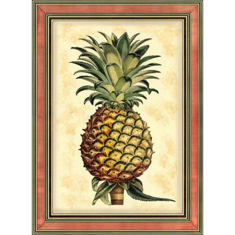 Pineapple Splendor II Black Modern Wood Framed Art Print with Double Matting by Vision Studio