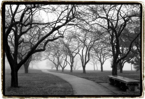Foggy Morning Walk Black Ornate Wood Framed Art Print with Double Matting by DeNardo, Laura