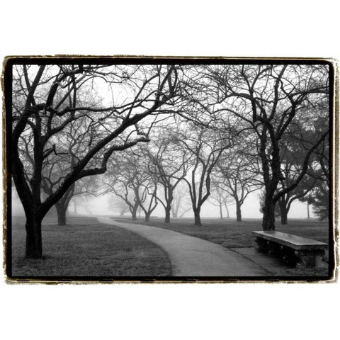 Foggy Morning Walk Black Modern Wood Framed Art Print by DeNardo, Laura