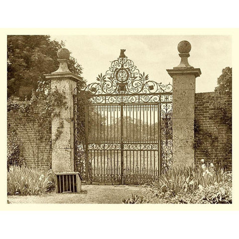 Sepia Garden View II White Modern Wood Framed Art Print by unknown