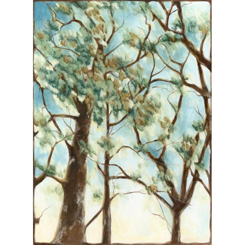 Shenandoah Sunrise II Black Modern Wood Framed Art Print with Double Matting by Meagher, Megan