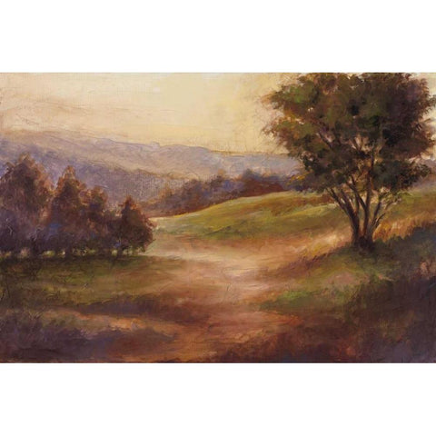 Foothills of Appalachia II Black Modern Wood Framed Art Print with Double Matting by Harper, Ethan