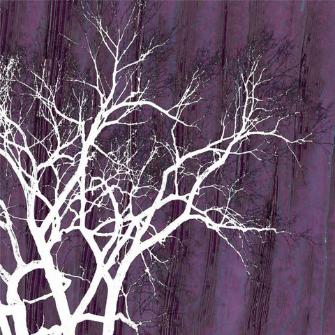 Aurora Silhouette II Black Modern Wood Framed Art Print with Double Matting by Ludwig, Alicia