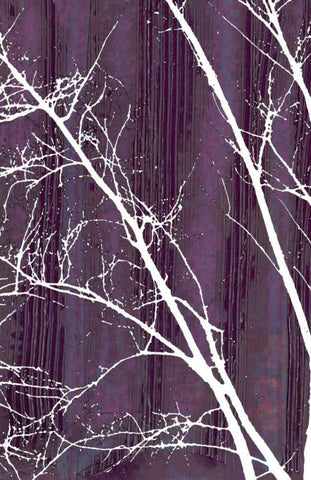 Aurora Silhouette III Black Ornate Wood Framed Art Print with Double Matting by Ludwig, Alicia