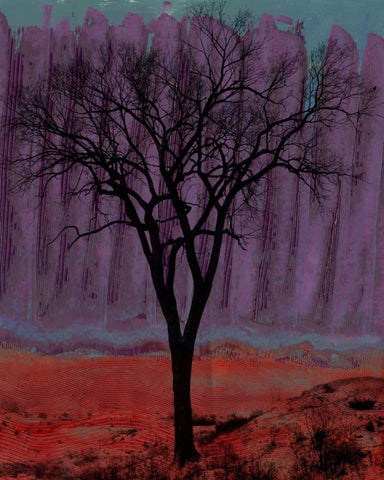 Aurora I White Modern Wood Framed Art Print with Double Matting by Ludwig, Alicia