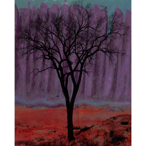 Aurora I Black Modern Wood Framed Art Print by Ludwig, Alicia