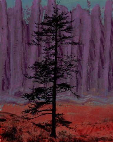 Aurora II White Modern Wood Framed Art Print with Double Matting by Ludwig, Alicia