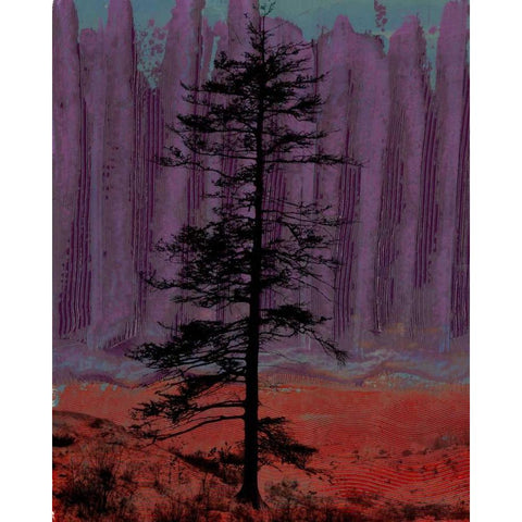 Aurora II Black Modern Wood Framed Art Print by Ludwig, Alicia