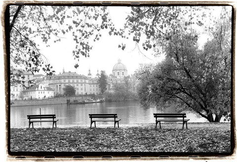Peaceful Morning Black Ornate Wood Framed Art Print with Double Matting by DeNardo, Laura