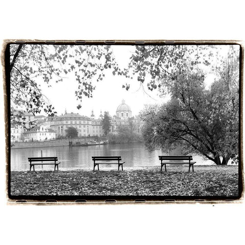 Peaceful Morning Black Modern Wood Framed Art Print with Double Matting by DeNardo, Laura