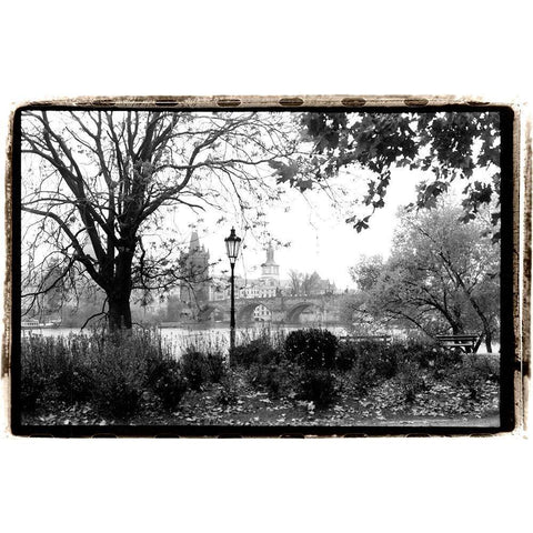 Early Morning Riverwalk White Modern Wood Framed Art Print by DeNardo, Laura