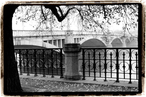 Riverview Black Ornate Wood Framed Art Print with Double Matting by DeNardo, Laura