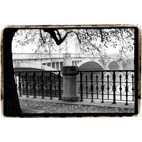 Riverview Black Modern Wood Framed Art Print by DeNardo, Laura