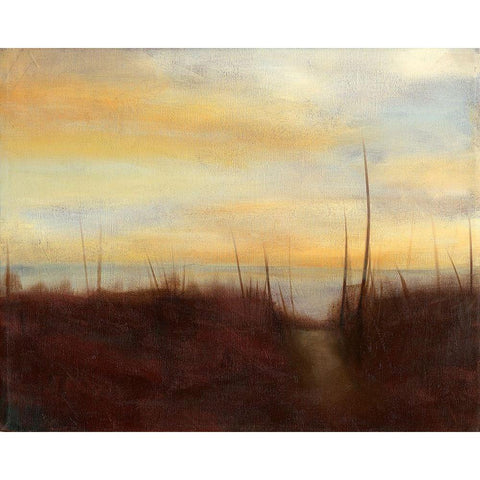 Sunrise Stroll I Black Modern Wood Framed Art Print with Double Matting by Goldberger, Jennifer