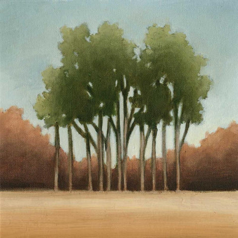 Stand of Trees I Black Modern Wood Framed Art Print by Harper, Ethan