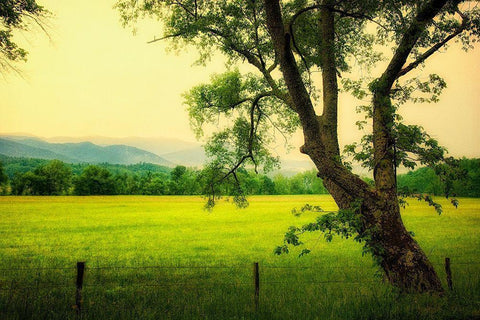 Morning at the Cove I White Modern Wood Framed Art Print with Double Matting by Head, Danny