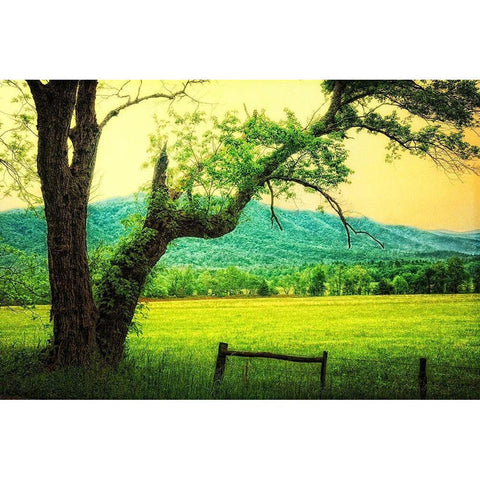 Morning at the Cove II Gold Ornate Wood Framed Art Print with Double Matting by Head, Danny