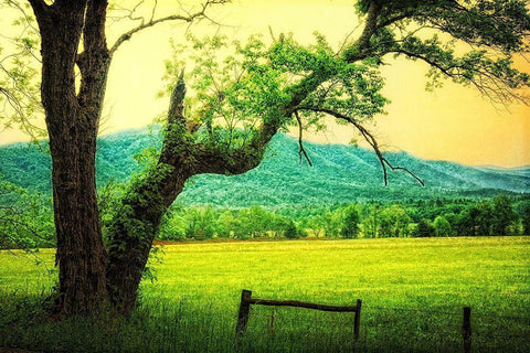 Morning at the Cove II Black Ornate Wood Framed Art Print with Double Matting by Head, Danny