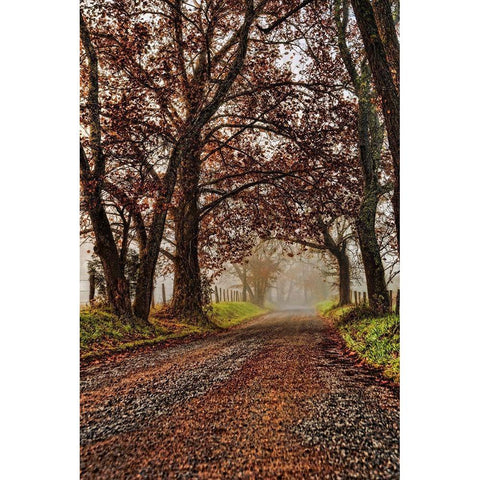 Morning on Sparks Lane II Black Modern Wood Framed Art Print with Double Matting by Head, Danny
