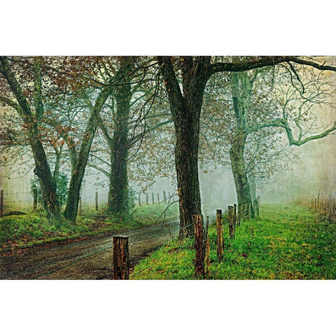 Morning on Sparks Lane IV Black Modern Wood Framed Art Print with Double Matting by Head, Danny