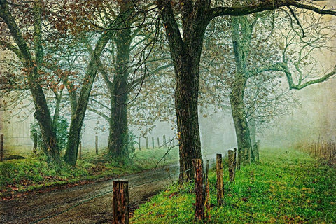 Morning on Sparks Lane IV Black Ornate Wood Framed Art Print with Double Matting by Head, Danny