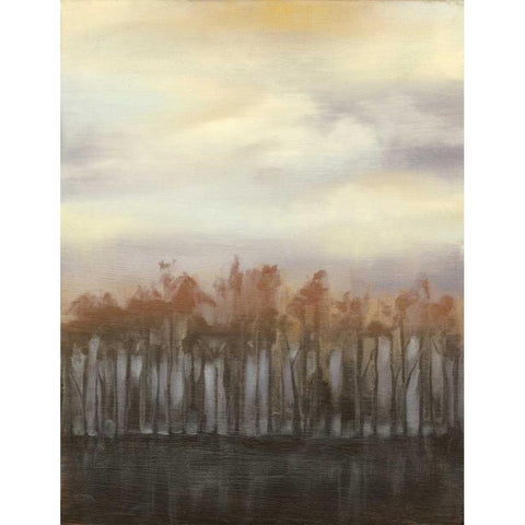 Dusk in Winter Black Modern Wood Framed Art Print with Double Matting by Goldberger, Jennifer