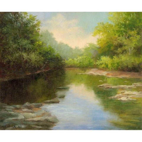 OBannon Summer Creek Black Modern Wood Framed Art Print by Weber, Mary Jean