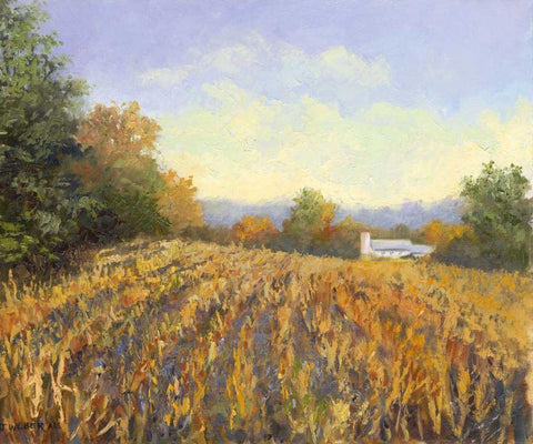 Corn Rows White Modern Wood Framed Art Print with Double Matting by Weber, Mary Jean